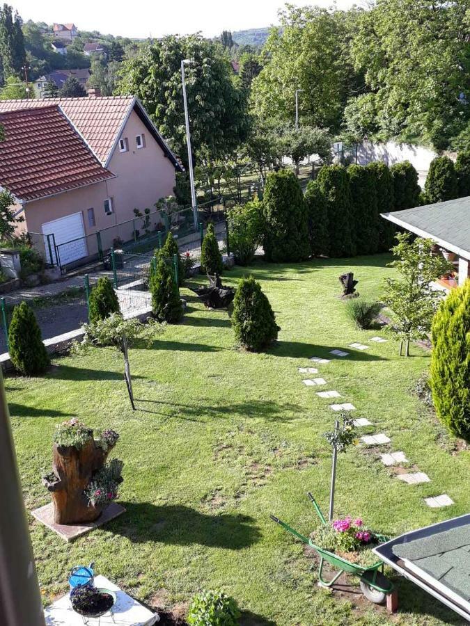 Simica Cose Lägenhet Vrdnik Exteriör bild