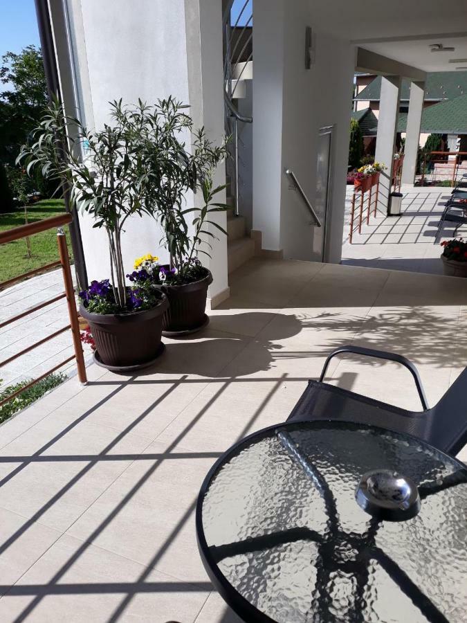 Simica Cose Lägenhet Vrdnik Exteriör bild